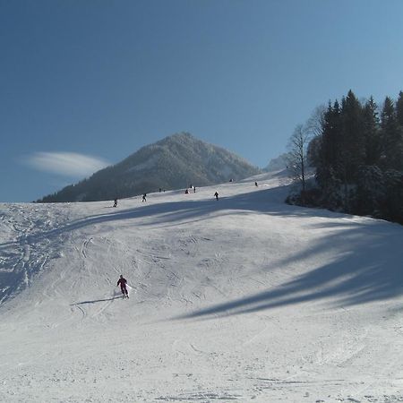 Apartament Tirolerhaus Walchsee Zewnętrze zdjęcie